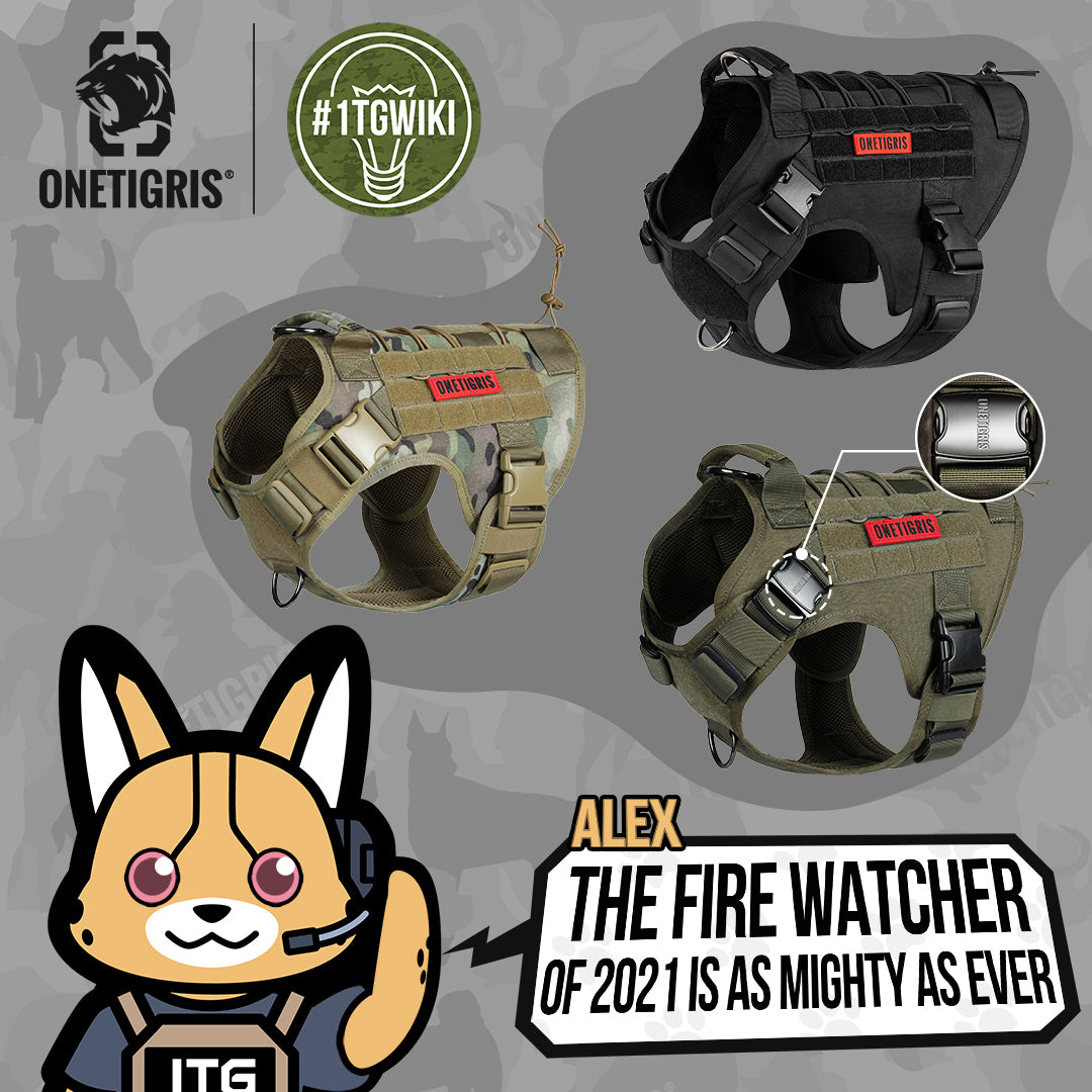 OneTigris Hondenharnas, FIRE Watcher Tactical Harness MOLLE Veiligheidsharnas Service Hondenvest met 1 Handgrepen en 2 No-Pull D-Ring 1000D Nylon (XXS, Blauw OneTigris Hondenharnas, FIRE Watcher Tactical Harness MOLLE Veiligheidsharnas Service Hondenvest met 1 Handgrepen en 2 No-Pull D-Ring 1000D Nylon (XXS, Blauw