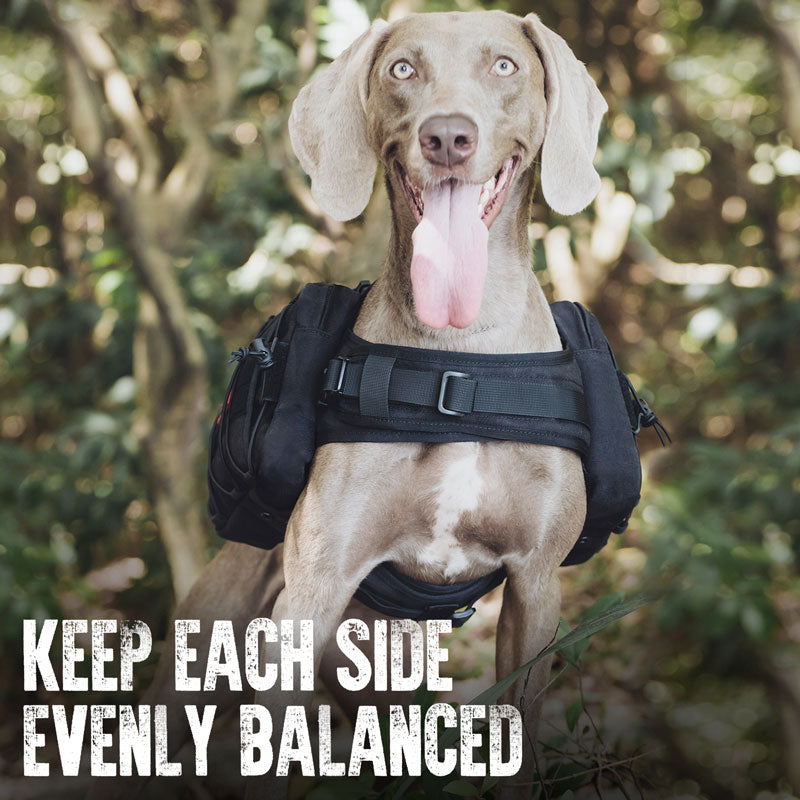 Dog Backpacks & Saddle Packs for Hiking | OneTigris Gear