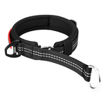 Martingale Dog Collar 19