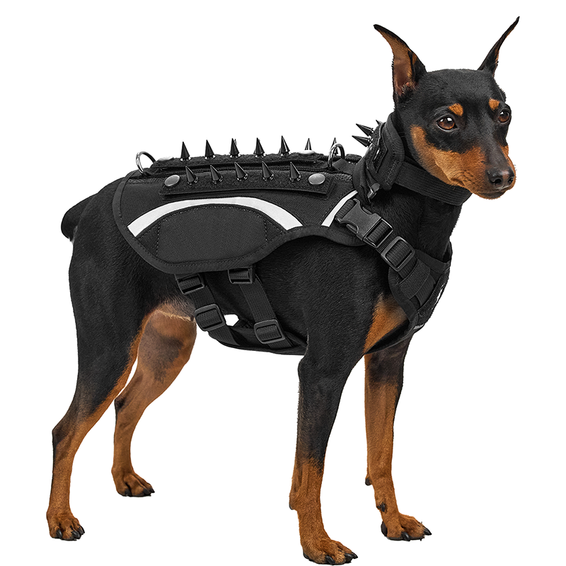 STEGOSAUR Dog Harness