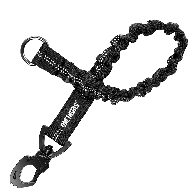 Bungee Dog Leash Extension