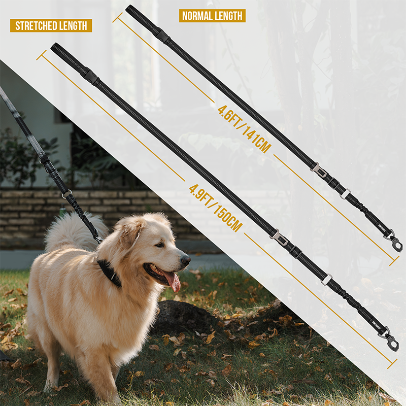 Dog Seat Belt Leash 28