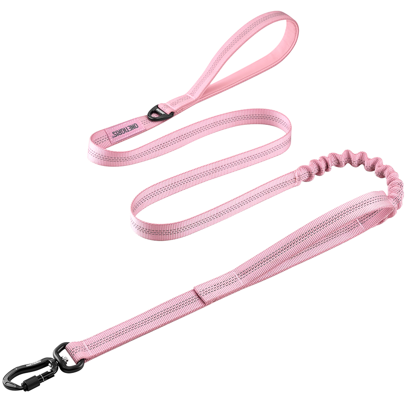 Carabiner Dog Leash 29