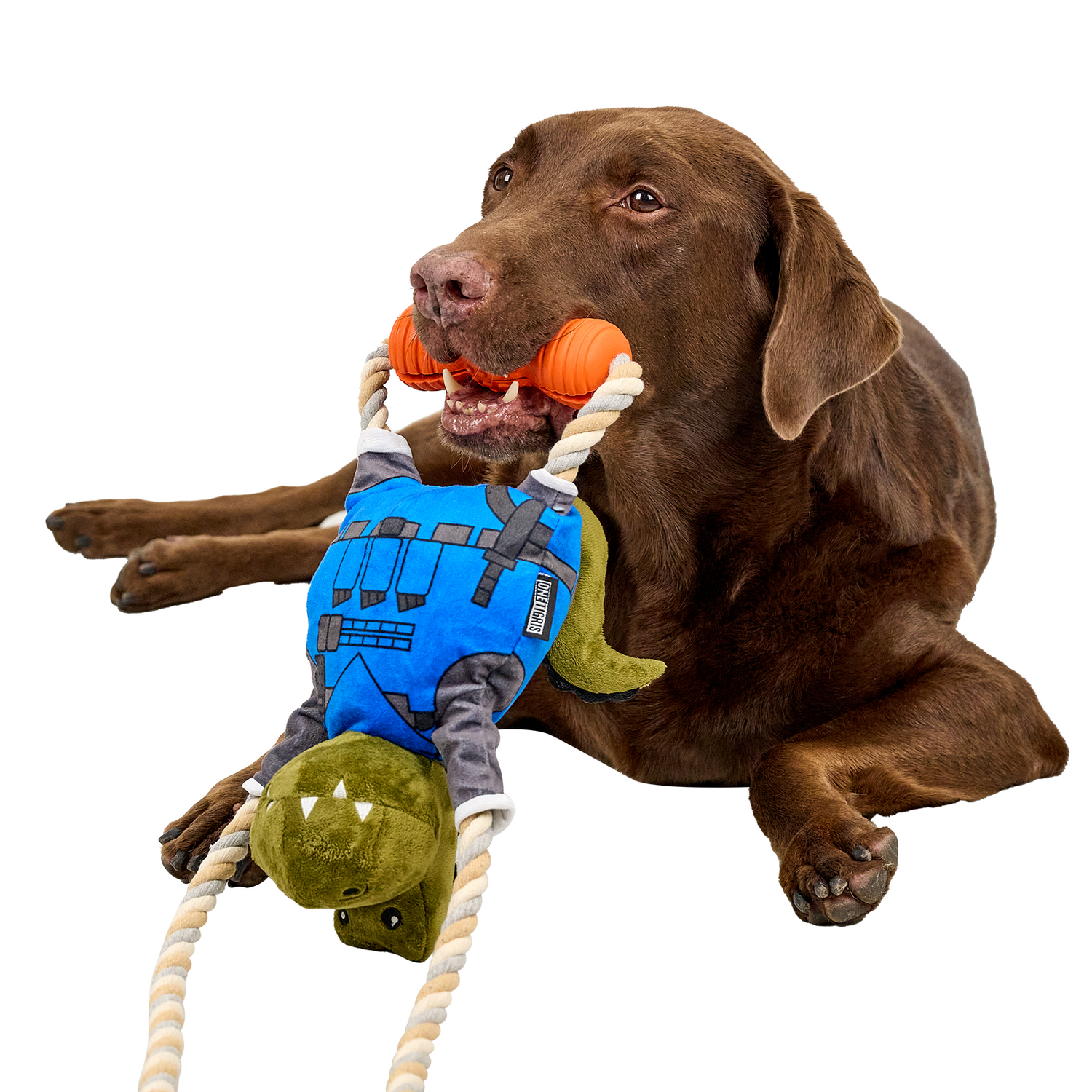CONSTRUCTOREX Chew Toy