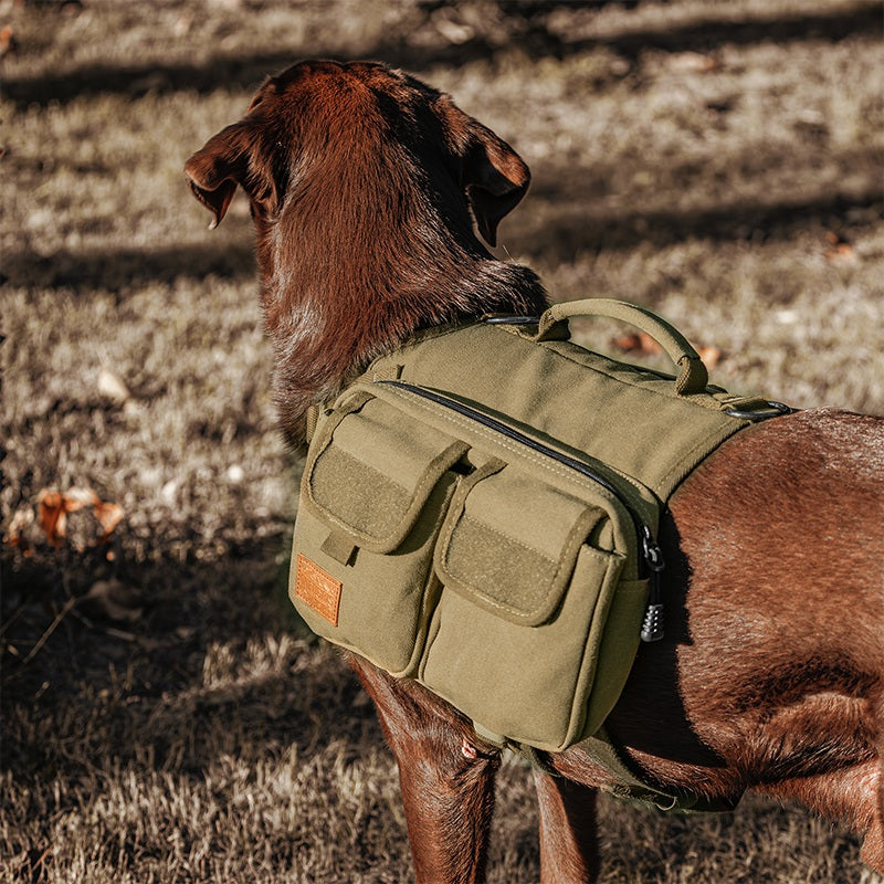 HOPPY CAMPER Dog Pack 3.0