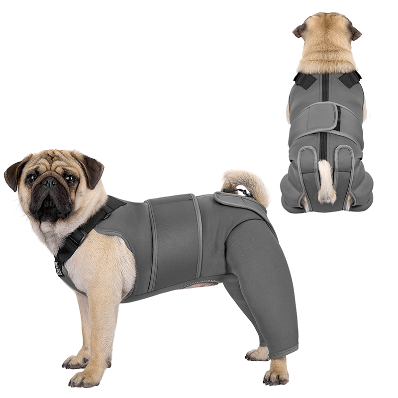 dog gear reviews PAWREST Dog Recovery Suit – ONETIGRIS DOG GEAR
