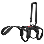 Hind Leg Support Vest