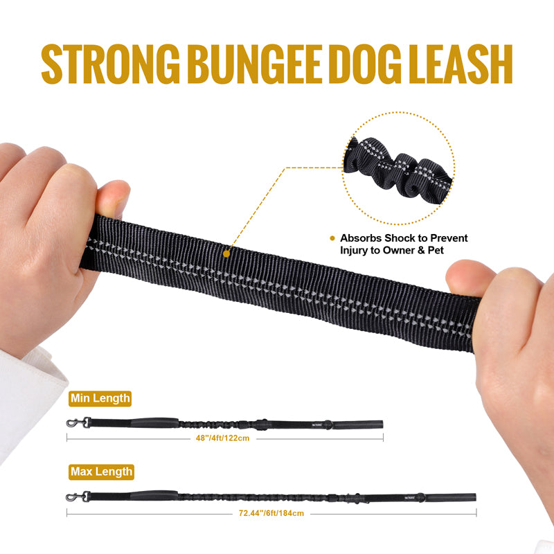 Dog Seat Belt Leash 17