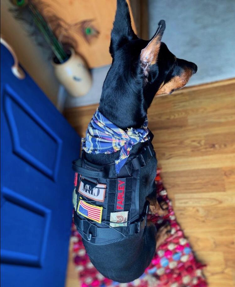 UPGRADED "FIRE WATCHER" HARNESS REVIEW #1