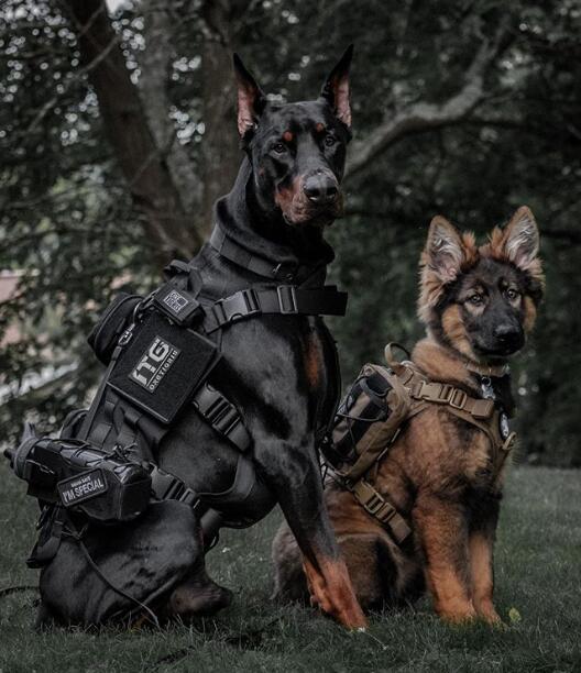 K9 AMBASSADORS OF 1TG