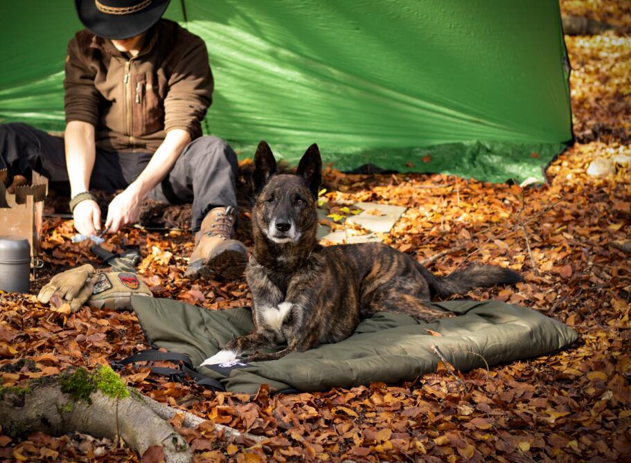 ONETIGRIS OUTDOOR DOG MAT (REVIEW)