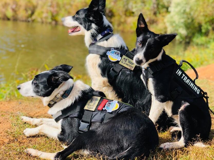 K9 AMBASSADORS ON A MISSION