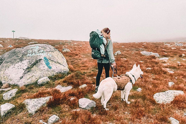 3 TIPS FOR BACKPACKING WITH YOUR DOG (INCLUDES PACKING LIST!)