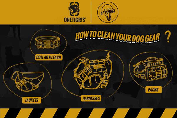 HOW TO PROPERLY CLEAN YOUR DOG GEAR