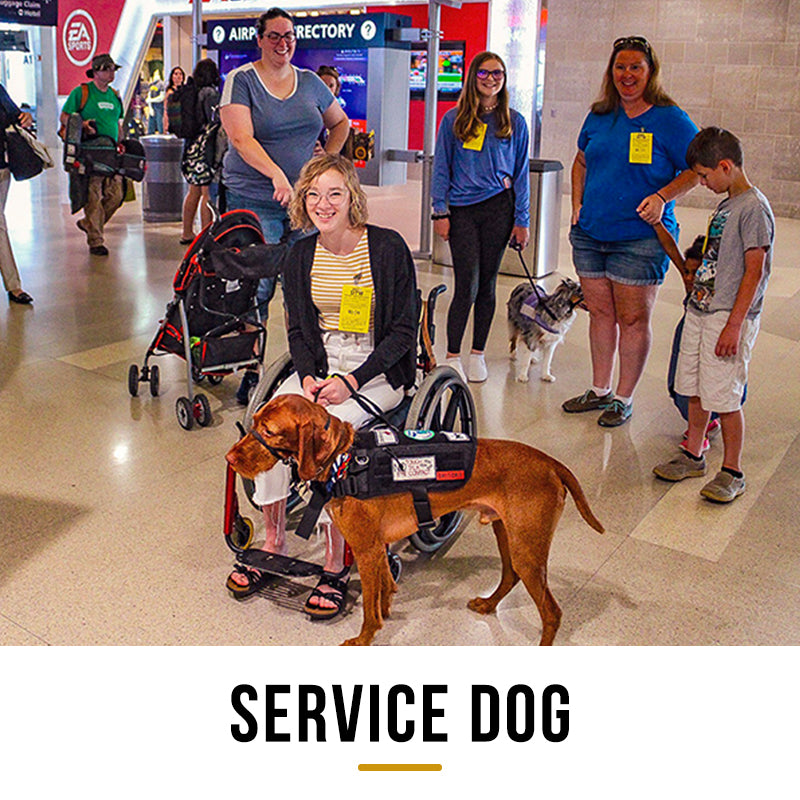 Service Dog