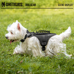 Small white dog wearing the OneTigris FortiFur reflective harness while walking on grass.