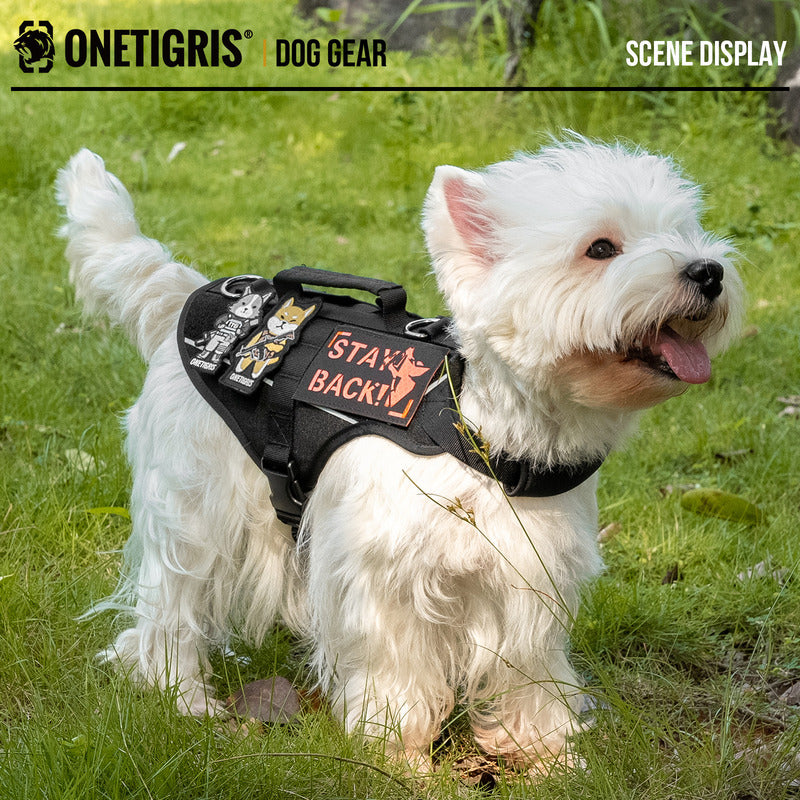 Front-facing view of a Westie wearing the OneTigris FortiFur harness, highlighting the padded neck guard and chest coverage.