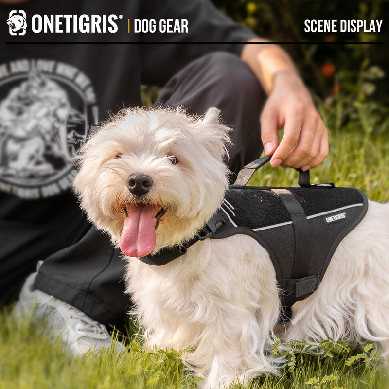 Side view of a small dog wearing the OneTigris FortiFur harness outdoors, showing the reflective shield design.