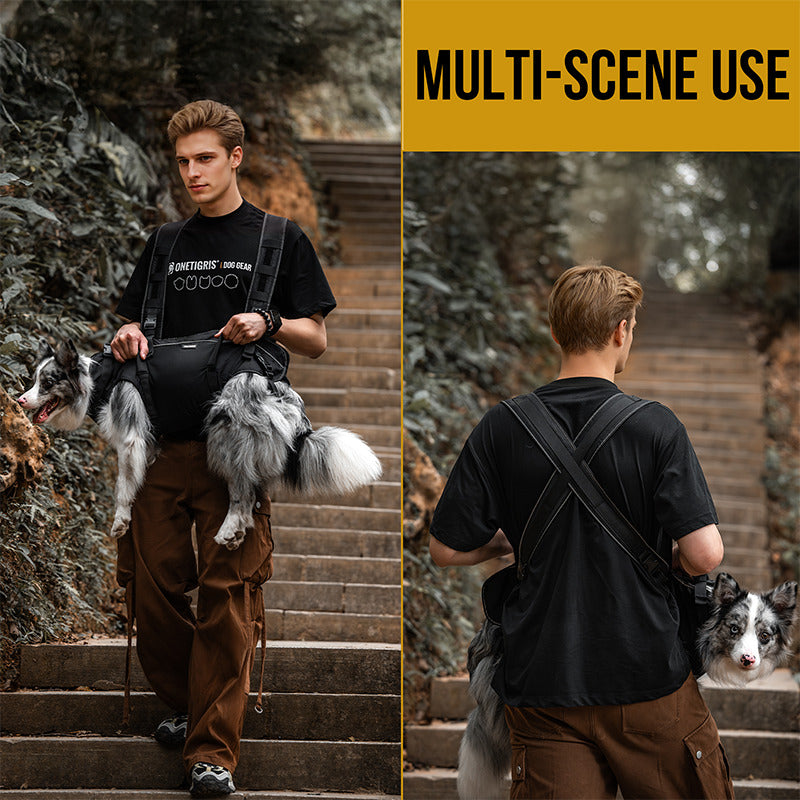 Multi-scene outdoor use of OneTigris SUPPORT RIDGE dog carry harness on stair climbing