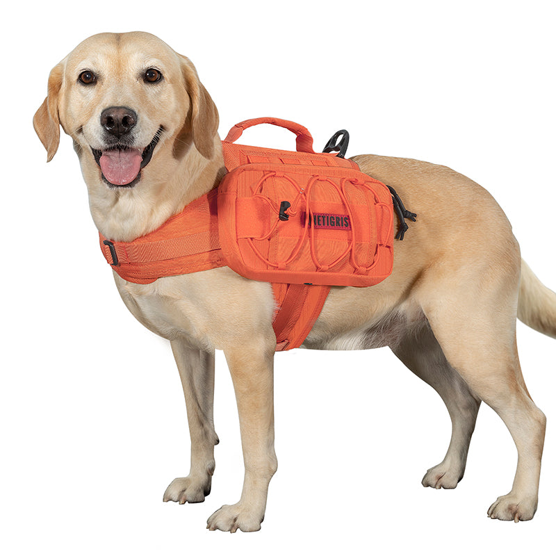 Mammoth Dog Pack