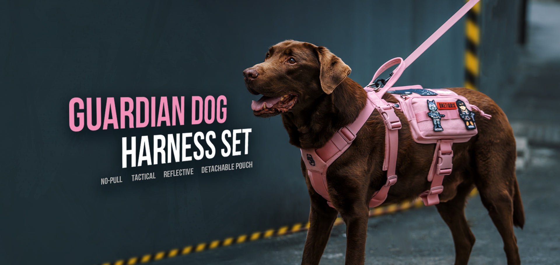 ONETIGRIS DOG GEAR