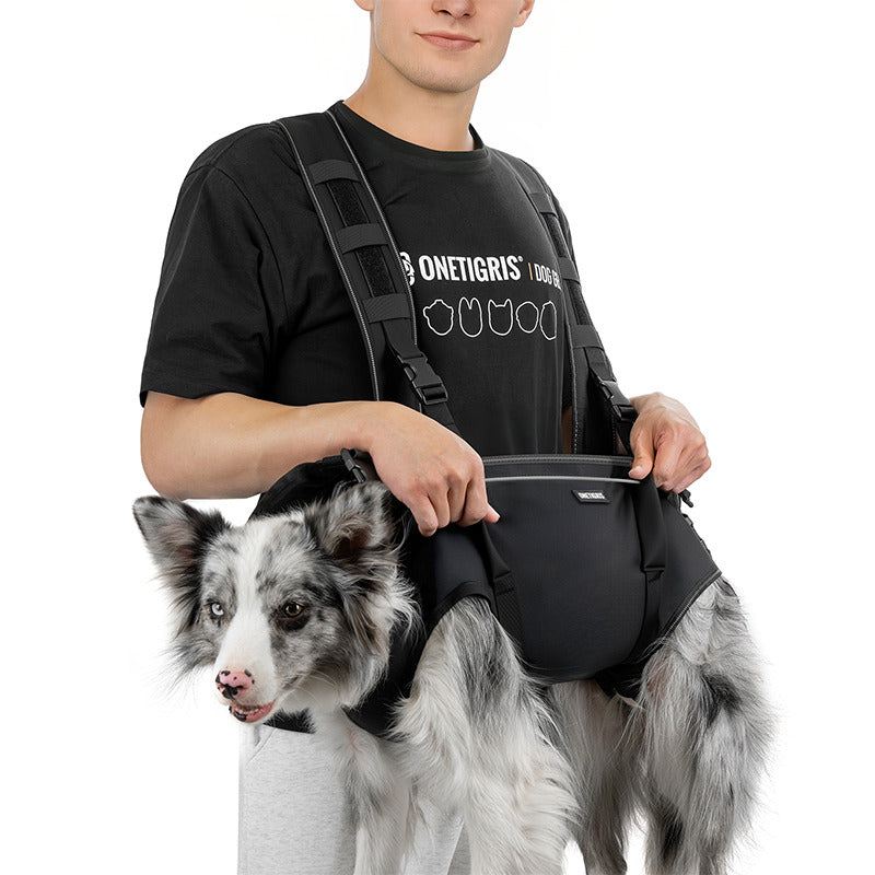 Pet owner carrying Border Collie with OneTigris SUPPORT RIDGE carry harness outdoors