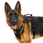 German Shepherd wearing OneTigris TACTICLITE tactical harness outdoors