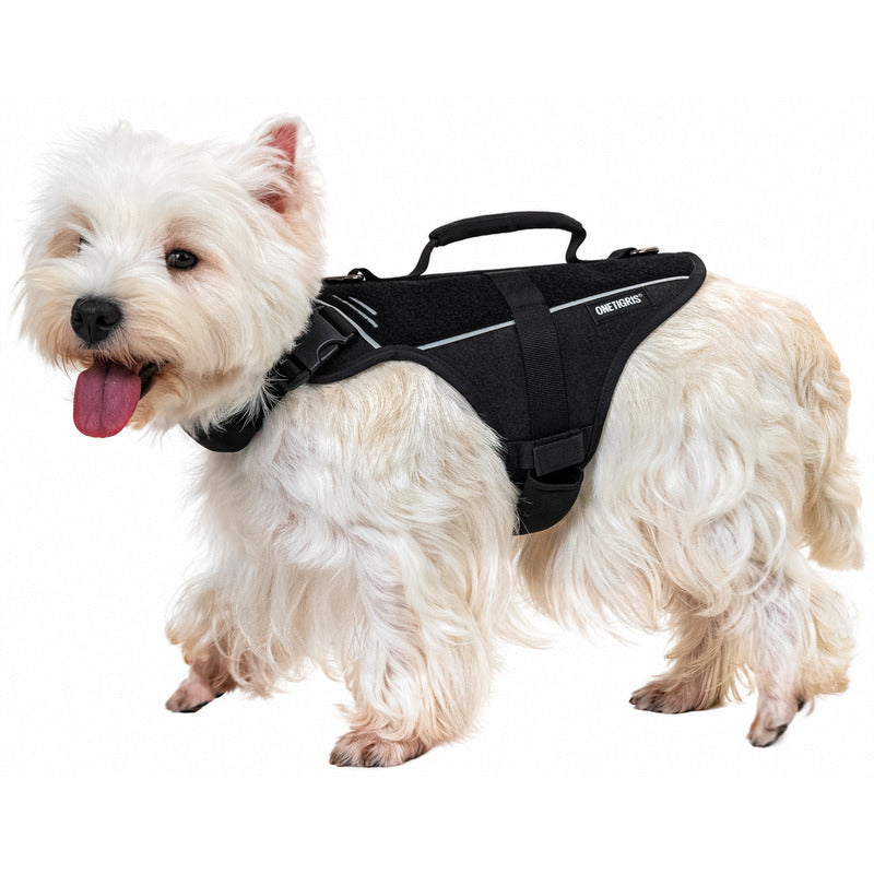 OneTigris FortiFur black cut-resistant protective dog harness on a West Highland White Terrier, full body view for small dog safety.