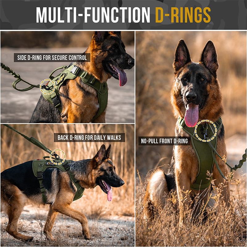 Multi-functional D-rings on OneTigris TACTICLITE harness for leash attachment