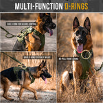 Multi-functional D-rings on OneTigris TACTICLITE harness for leash attachment