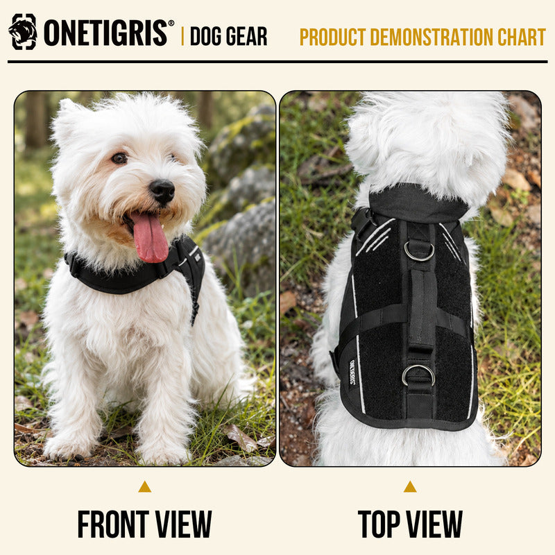 Close-up of the OneTigris FortiFur harness showing the UTX quick-release buckles at the neck and belly for easy on and off.
