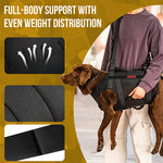 Adjustable shoulder strap reduces user fatigue when lifting disabled dogs with dog carry harness