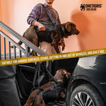 Use full body dog lift support harness to help dog climb stairs and get into car safely
