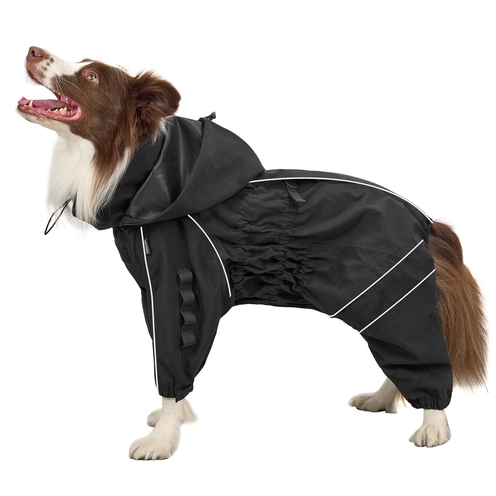 best rain gear for dogs RIDERSTORM Rain Jacket – ONETIGRIS DOG GEAR