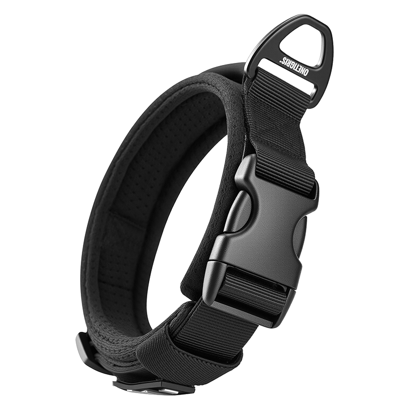 Small Dog Collar 18
