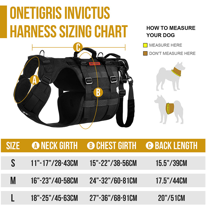INVICTUS Full Body Lift Harness