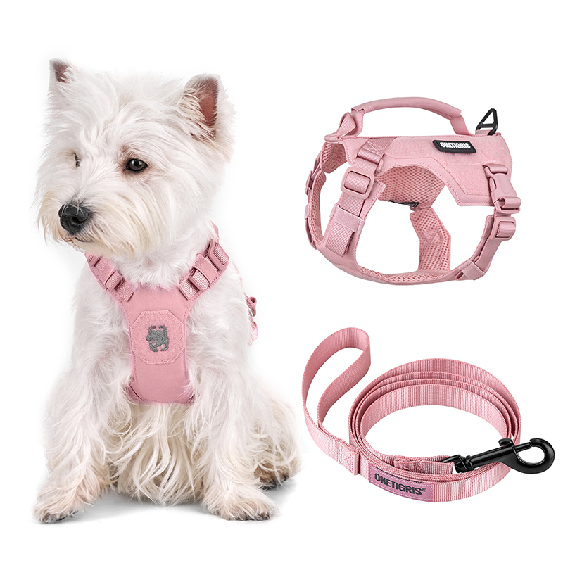 MINI TROOPER Small Harness Set