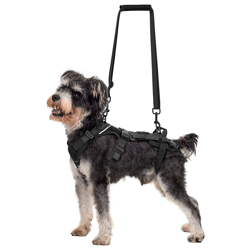 HOPPER Small Support Harness