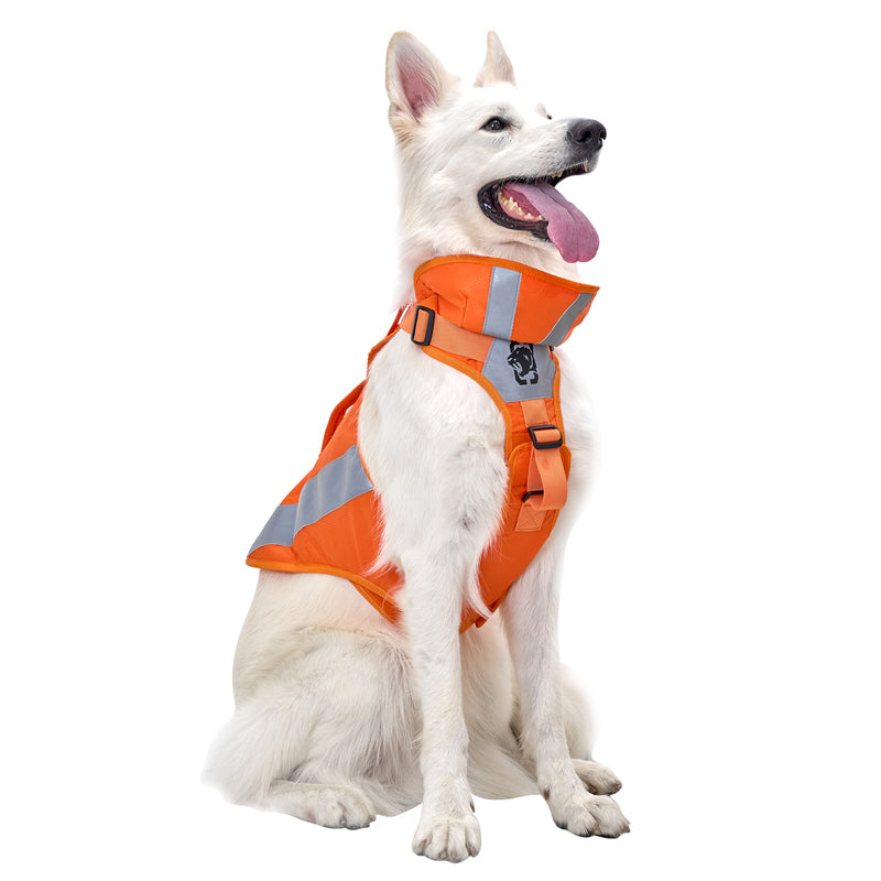 CHIP Safety Harness – ONETIGRIS DOG GEAR