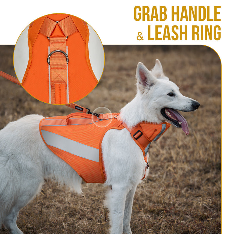 CHIP Safety Harness – ONETIGRIS DOG GEAR