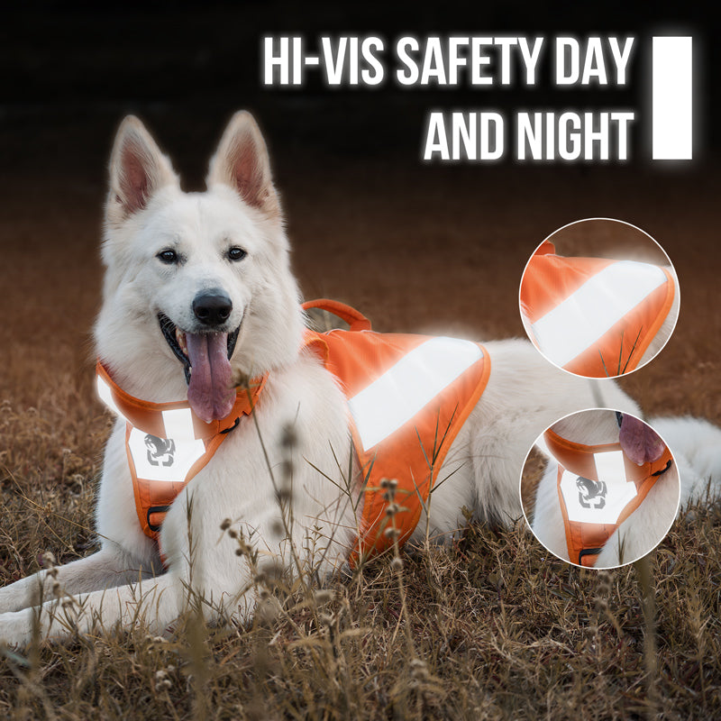 CHIP Safety Harness – ONETIGRIS DOG GEAR