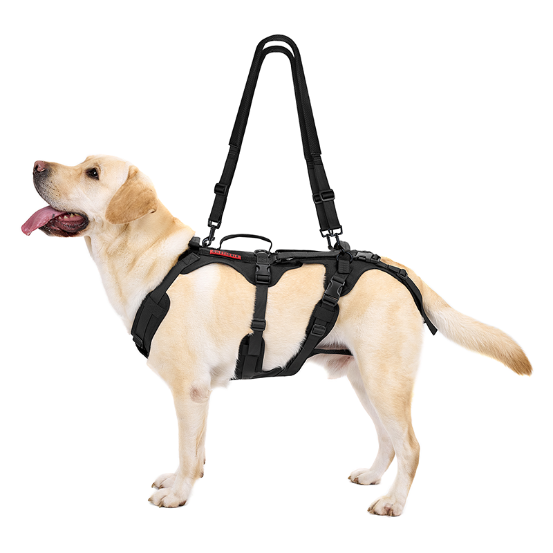 LIFT RIG Dog Harness