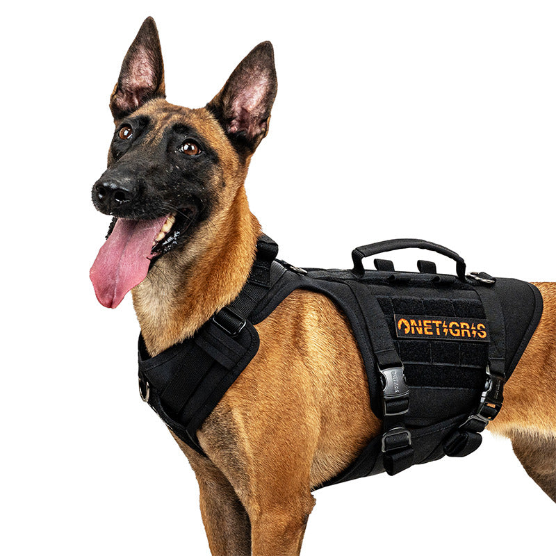 Belgian Malinois wearing a black OneTigris TITAN-FLOW tactical dog harness