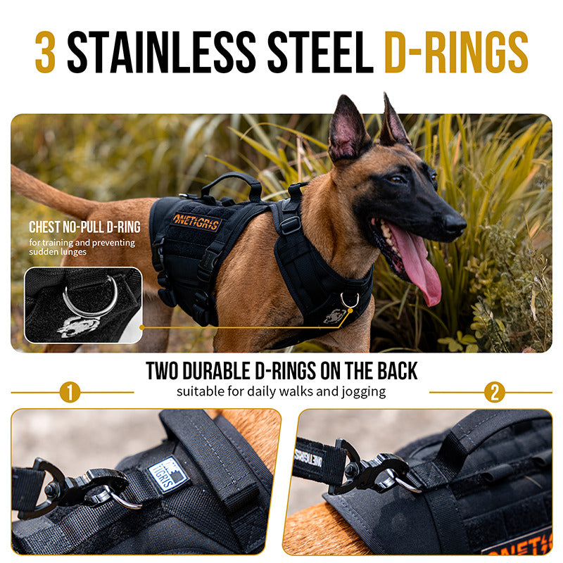 Belgian Malinois in TITAN-FLOW harness with front and back stainless steel D-rings