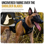Belgian Malinois wearing an open-shoulder TITAN-FLOW dog harness for natural movement