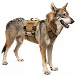 Large dog wearing a coyote brown tactical dog harness with handles