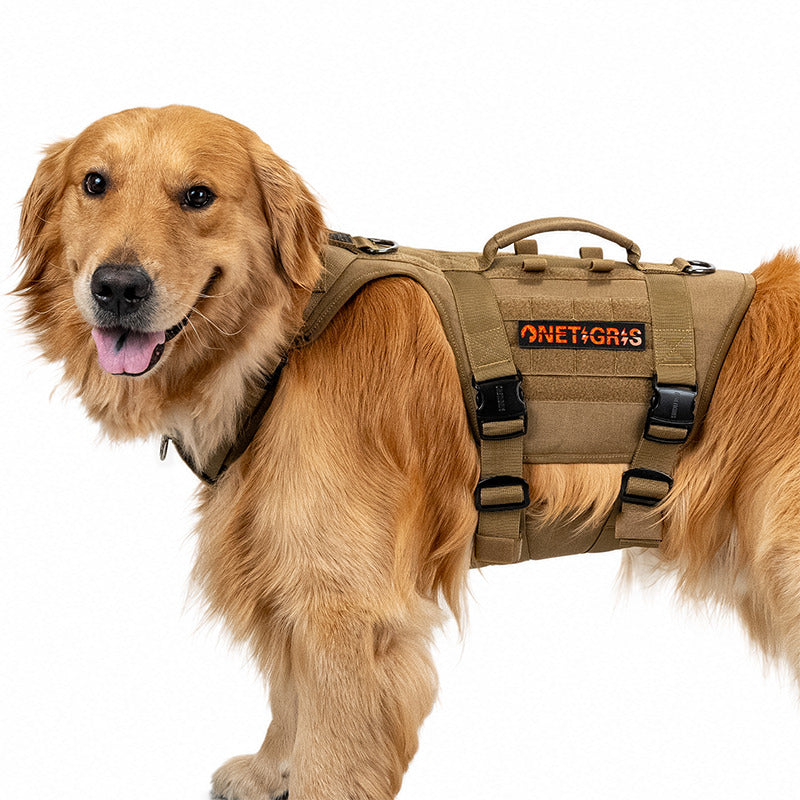 Golden Retriever wearing a coyote brown heavy-duty dog harness