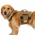 Golden Retriever wearing a coyote brown heavy-duty dog harness