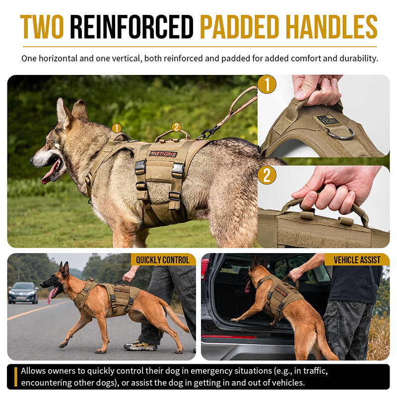 Dog harness with two padded handles for training and close control