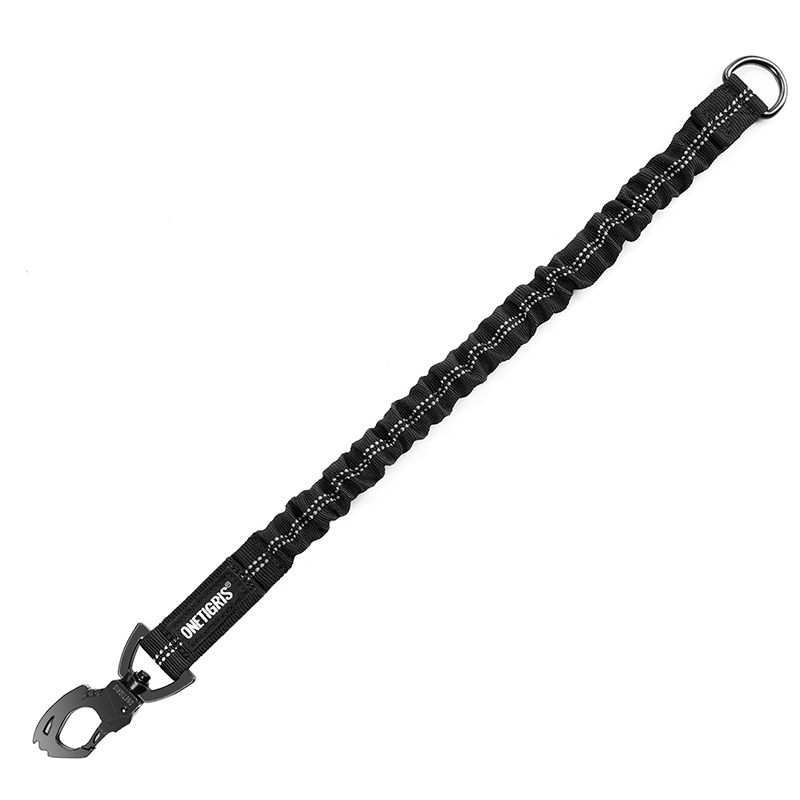 Bungee Dog Leash Extension